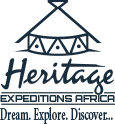 DMS Logo